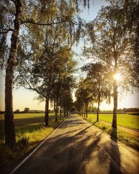 Road amidst trees against sky