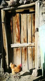 Close-up of wooden door