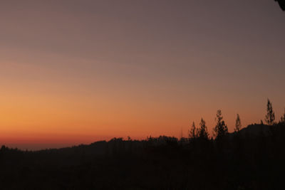 Silhouette trees against sky during sunset