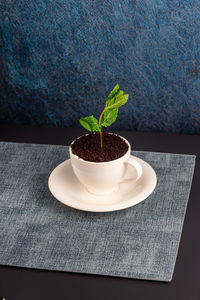 Close-up of tea cup on table