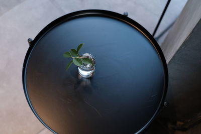 High angle view of fish in glass on table