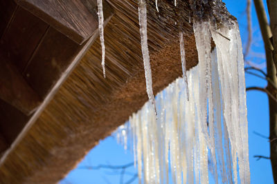 Icicles on straw roof corner of rustic house with selective focus in sunny spring daylight.