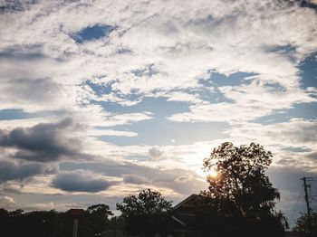 Low angle view of silhouette trees against sky