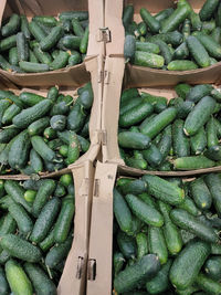 Green fresh cucumbers in cardboard boxes on the counter of the vegetable market