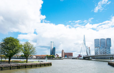 Erasmus bridge over river in city against sky