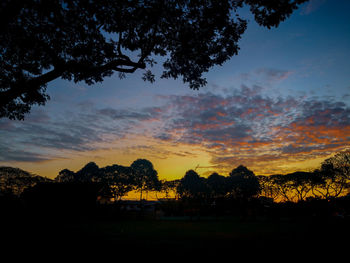 Silhouette trees on field against sky during sunset