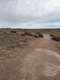 Scenic view of desert against sky