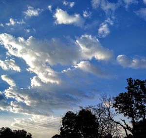 Low angle view of silhouette trees against sky