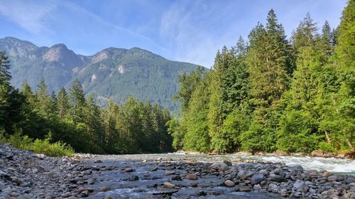 Scenic view of river against sky