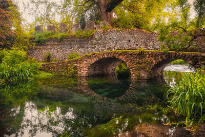 Arch bridge over lake against trees