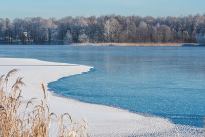 winter
