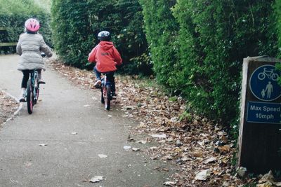 Rear view of two children cycling