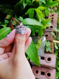 Close-up of hand holding leaves