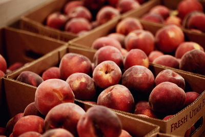 Peaches in boxes at market for sale