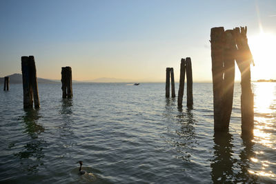 Wooden posts in lake against sky during sunset