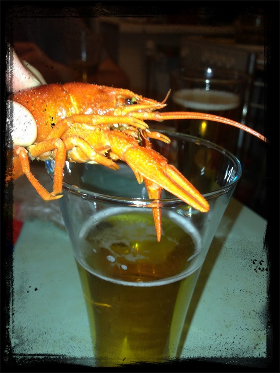 food and drink, indoors, close-up, freshness, fish, animal themes, glass - material, seafood, food, water, drinking glass, healthy eating, one animal, drink, wildlife, animals in the wild, table, refreshment, transparent, focus on foreground