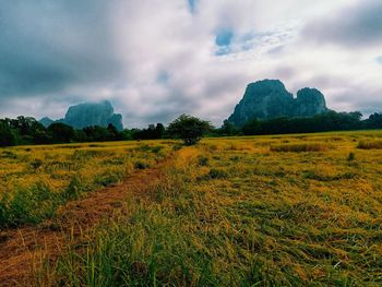 Scenic view of field against sky