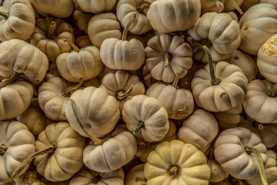 Full frame shot of pumpkins for sale at market