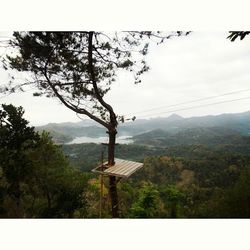 Scenic view of landscape