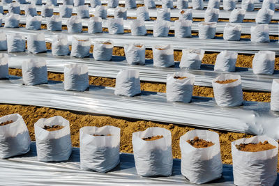 High angle view of white objects in row