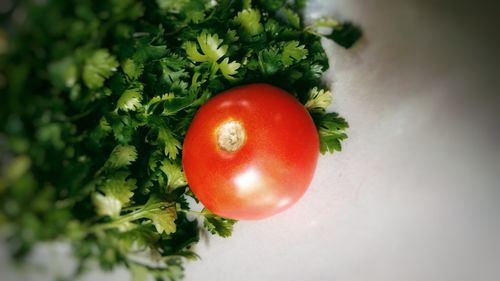 Close-up of strawberry