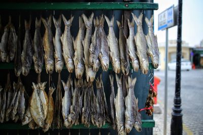 Close-up of fish for sale in market