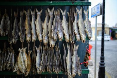 Close-up of dried fish for sale in market