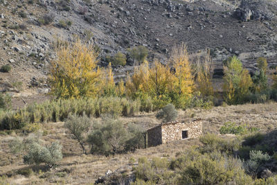 Scenic view of rural landscape