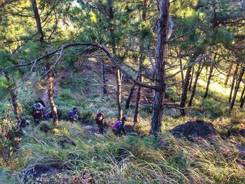 People in forest