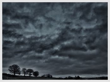 Storm clouds over trees