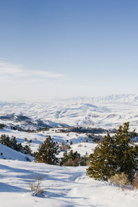 Location of the tian shan mountains, uzbekistan, central asia. winter mountain forest