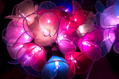 Close-up of illuminated christmas lights