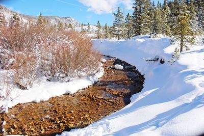 Tranquil stream 