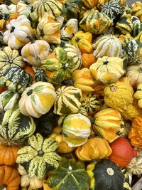 Full frame shot of pumpkins