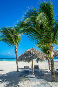 Palm trees on beach against clear blue sky