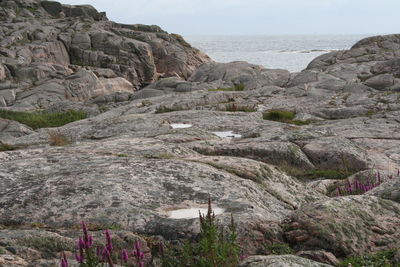Scenic view of rocks in sea against clear sky