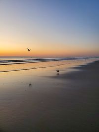 Scenic view of beach against sky during sunset