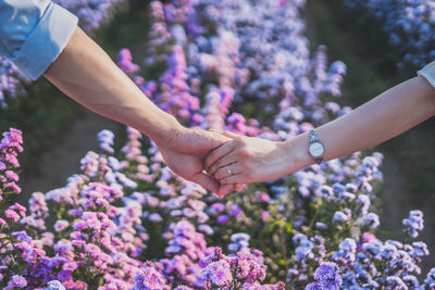 Close-up of hand on purple flowering plant