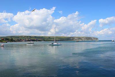 Sailboats in sea against sky