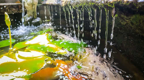 Close-up of water splashing on rocks