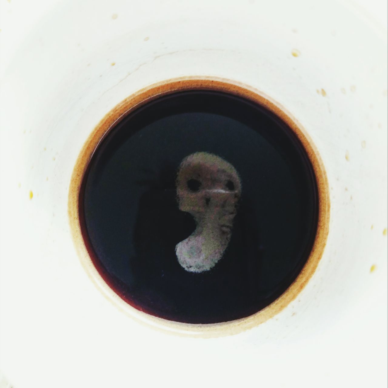 close-up, no people, cup, drink, coffee cup, coffee, coffee - drink, mug, indoors, animal, hole, geometric shape, circle, directly above, refreshment, food and drink, animal themes, one animal, shape, vertebrate, crockery