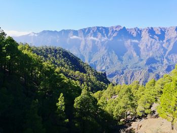 Scenic view of tree mountains against sky