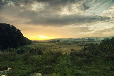 Scenic view of field against sky at sunset
