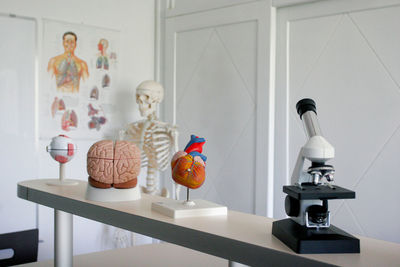 Rear view of woman holding trophy at home