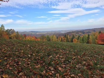 Scenic view of autumnal trees on field against sky