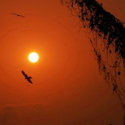 Low angle view of sky at sunset