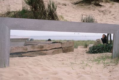 Dog sitting on shore