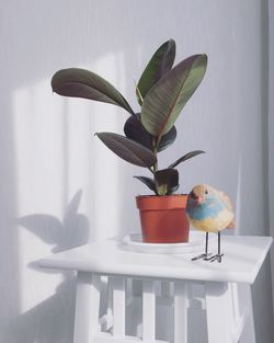 Close-up of bird on potted plant