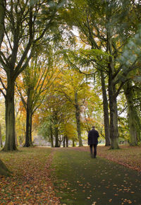 Rear view of man standing in park