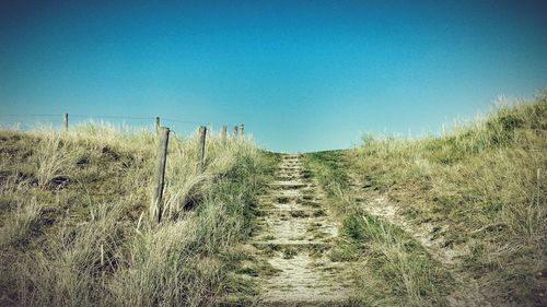 Narrow pathway along landscape